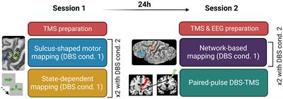 Multi-scale and cross-dimensional TMS mapping: A proof of principle in patients with Parkinson’s disease and deep brain stimulation